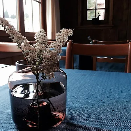 Dieschen Hotel 3*