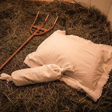 Hotel Dieschen Lenzerheide